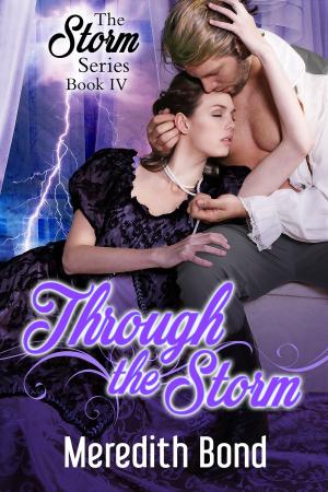 Cover of the book Through the Storm by Anna Alexander