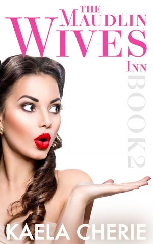 Cover of the book Maudlin Wives Inn Book 2 by Charlie Newlands