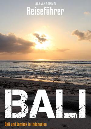 Cover of Bali Reiseführer