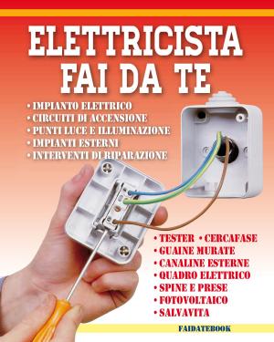 Cover of the book Elettricista fai da te by Nicolas Vidal, Bruno Guillou, Nicolas Sallavuard, François Roebben