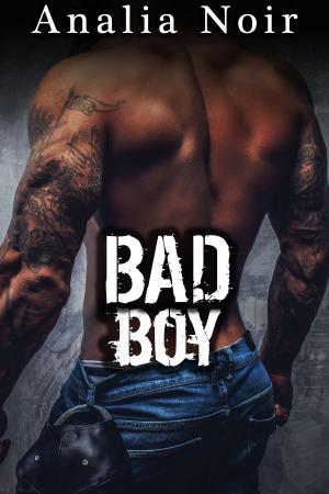 Cover of the book BAD BOY by Mara Purl