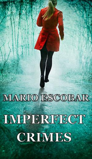 bigCover of the book Imperfect Crimes by 
