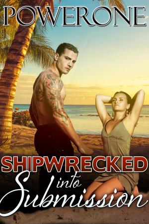Book cover of SHIPWRECKED