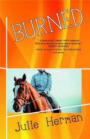 Cover of the book Burned by David Hunter