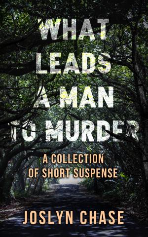 Cover of the book What Leads A Man To Murder by Vered Ehsani