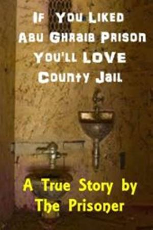 bigCover of the book If You Liked Abu Ghraib Prison You'll Love County Jail by 