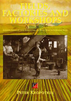 Cover of the book FIELDS, FACTORIES OR WORKSHOPS by Freddy Gómez