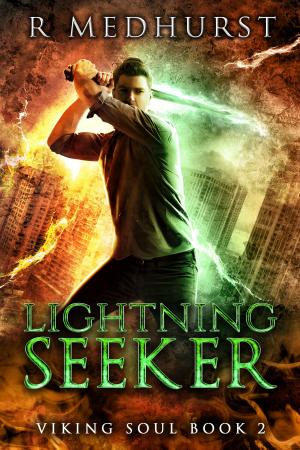 Cover of Lightning Seeker by Rachel Medhurst, Rachel Medhurst