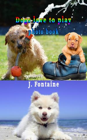 bigCover of the book Dogs love to Play by 