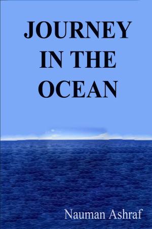 Cover of the book Journey In The Ocean by Nauman Ashraf