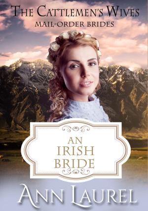 Book cover of An Irish Bride