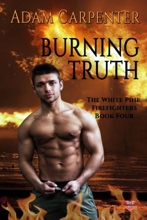 Cover of the book Burning Truth by AKM Miles