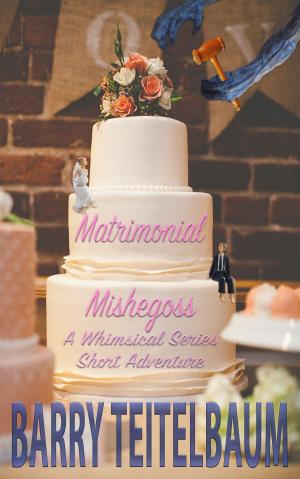 Cover of the book Matrimonial Mishegoss by Patricia Bow
