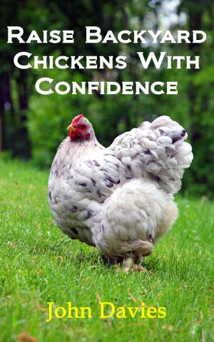 Cover of the book Raise Backyard Chickens with Confidence by J. Thorn