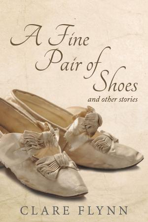 bigCover of the book A Fine Pair of Shoes and Other Stories by 