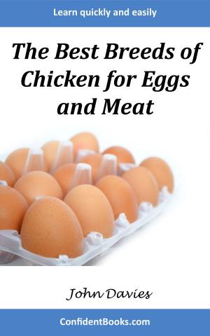 Cover of The Best Breeds of Chicken for Eggs and Meat
