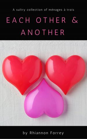 Cover of the book Each Other & Another by Michelle Jo Quinn