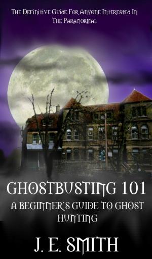Cover of the book GhostBusting 101 by Rebecca Deslisle