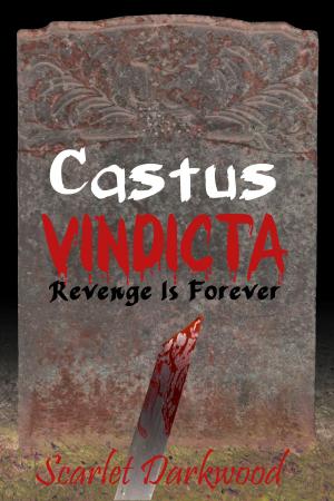 Cover of the book Castus Vindicta by P. Mattern