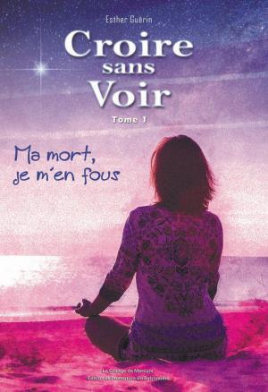 Book cover of Croire sans voir