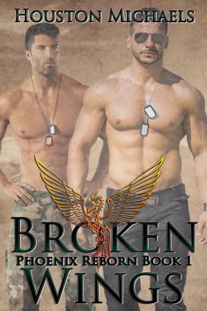 Cover of the book Broken Wings by Rebekah Jonesy