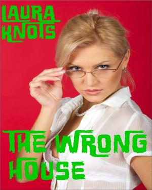 Cover of the book The Wrong House by VL McBeath