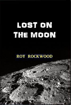Cover of the book Lost on the Moon by Shellee Hendricks, Russell Reich