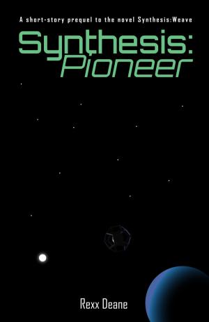 Cover of the book Synthesis:Pioneer by Erik Kristofer Lucero