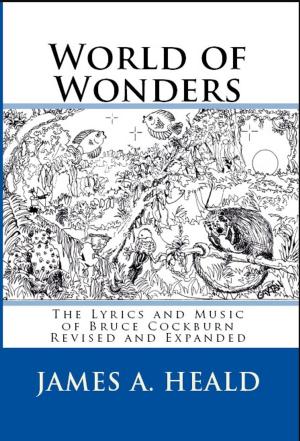 Cover of the book World of Wonders by Lee Davidson