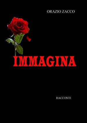 Cover of the book IMMAGINA by ORAZIO ZACCO