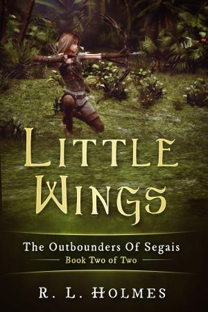 Cover of the book Little Wings by Nauman Ashraf
