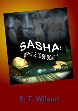 Cover of the book Sasha, What Is To Be Done? by J. Michael Straczynski, Gary Frank