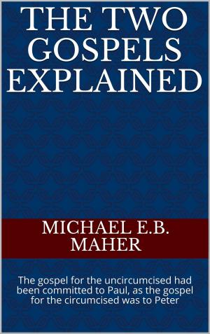 Cover of the book The Two Gospels Explained by Mark Sanders