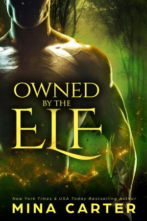Cover of the book Owned by the Elf by Tommi Hayes