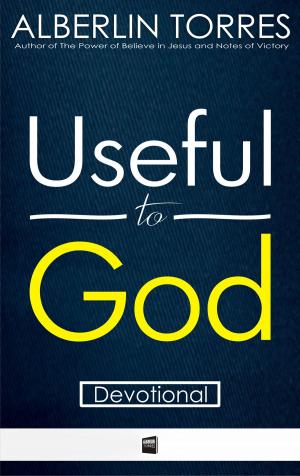 bigCover of the book Useful to God by 