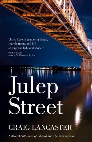 Cover of the book Julep Street by Cindy Christmas