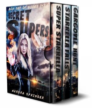 bigCover of the book Secret Supers by 