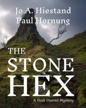 Book cover of The Stone Hex