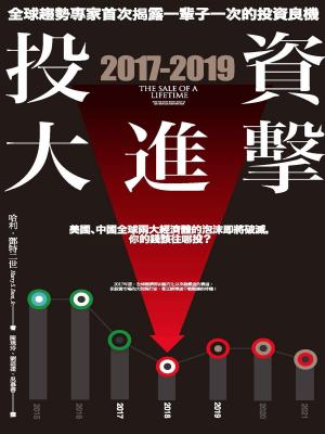Book cover of 2017-2019投資大進擊：全球趨勢專家首次揭露一輩子一次的投資良機