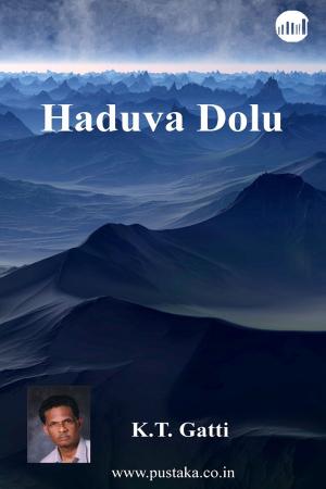 Cover of the book Haduva Dolu by Brandon Carlscon