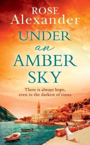 Cover of the book Under an Amber Sky by Jeff Brown