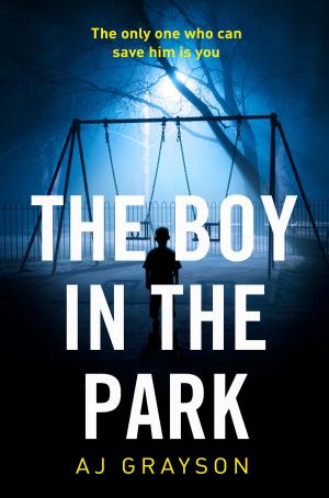 Cover of the book The Boy in the Park by Rachel Allen