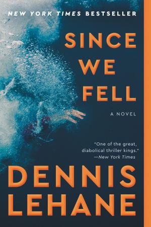 Book cover of Since We Fell