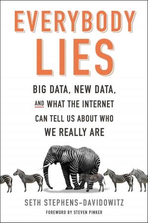 Cover of the book Everybody Lies by Titus Hauer