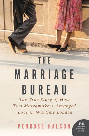 Book cover of The Marriage Bureau