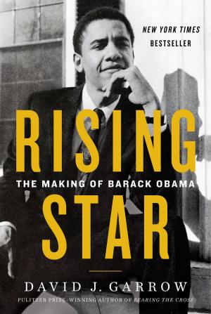 Cover of the book Rising Star by Ray Lambert, Jim DeFelice
