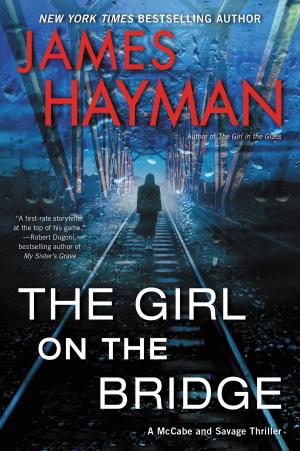 bigCover of the book The Girl on the Bridge by 
