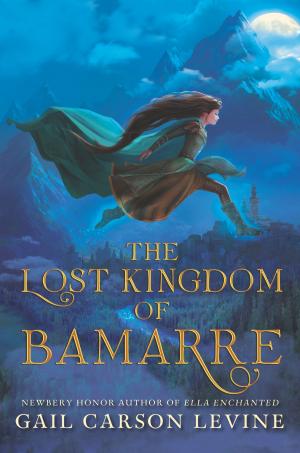 Cover of the book The Lost Kingdom of Bamarre by Licia Oliviero