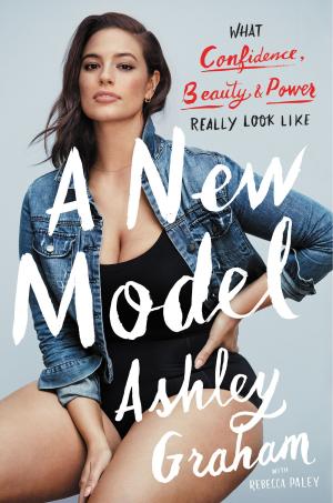 Book cover of A New Model