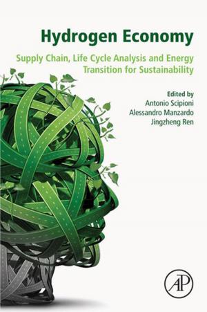 Cover of the book Hydrogen Economy by Rickard Bergqvist, Jason Monios